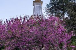 PEÑÓN DEL SAGRADO CORAZÓN DE JESÚS